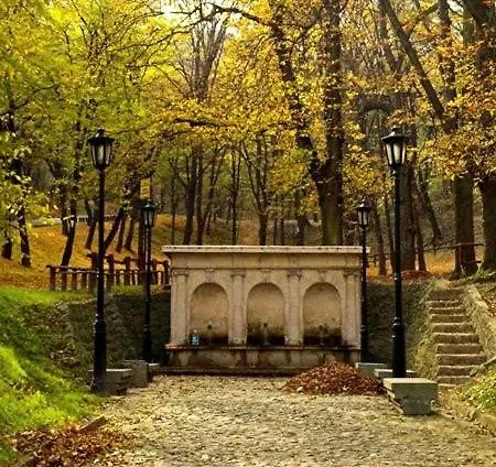 Cozy House *